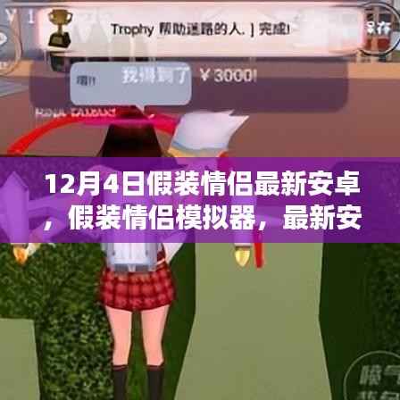 12月4日假装情侣模拟器,最新安卓版安装与使用指南(全攻略,适合初学者与进阶用户)