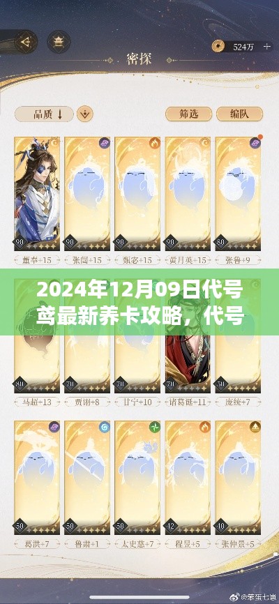 代号鸢,2024年12月09日最新养卡攻略与友情陪伴的温暖日常