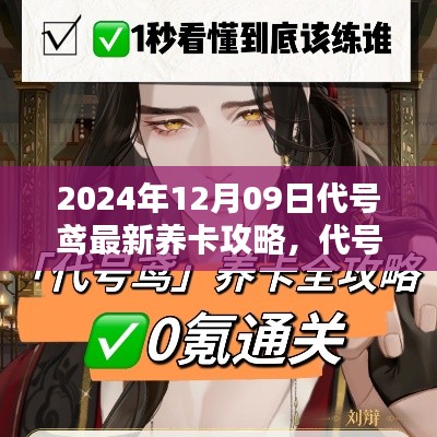 代号鸢,2024年12月09日最新养卡攻略与友情陪伴的温暖日常
