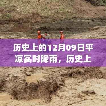 历史上的12月09日平凉实时降雨事件,多方观点探析与个人立场阐述