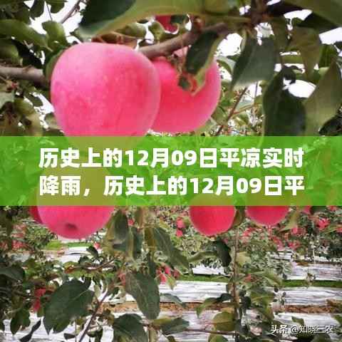 历史上的12月09日平凉实时降雨事件,多方观点探析与个人立场阐述