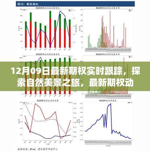 最新期权动态下的自然美景探索与心灵宁静之旅(实时跟踪报道)
