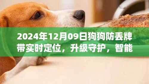 智能狗狗防丢牌升级守护,实时定位,让爱宠安全无忧