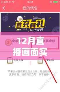 揭秘小红书直播画面实时提取器，神奇魅力与实用指南