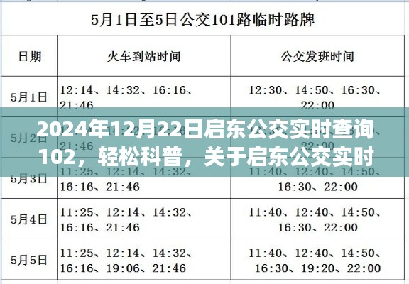2024年启东公交实时查询系统详解,以公交查询为例轻松科普