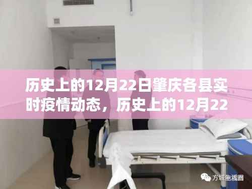 历史上的12月22日肇庆各县疫情动态回顾与洞察,实时疫情数据深度解析