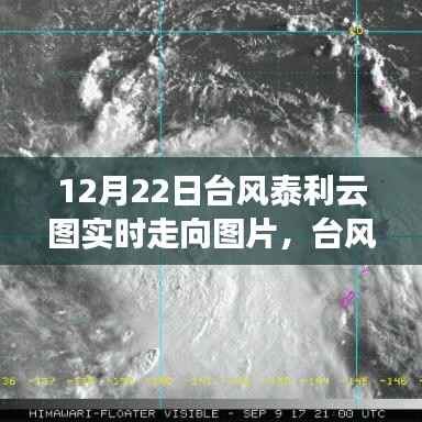 台风泰利云图动态监测与深度分析的综合体验,实时走向图片追踪系统报道