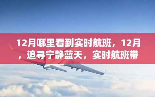 12月宁静蓝天之旅,实时航班领略自然美景诗意之旅
