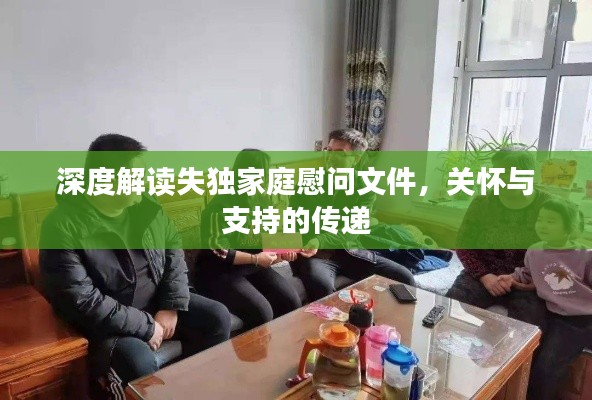 深度解读失独家庭慰问文件,关怀与支持的传递