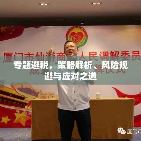 专题避税,策略解析、风险规避与应对之道