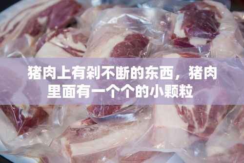猪肉上有剁不断的东西,猪肉里面有一个个的小颗粒