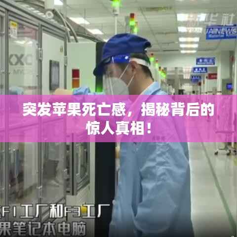 竭尽全力 第3页