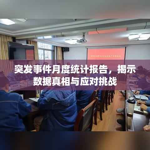 突发事件月度统计报告,揭示数据真相与应对挑战