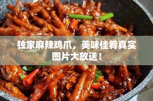 独家麻辣鸡爪,美味佳肴真实图片大放送!
