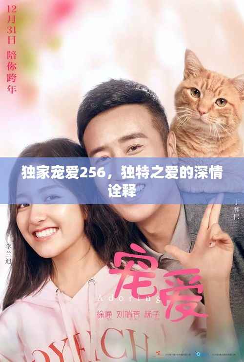 独家宠爱256，独特之爱的深情诠释