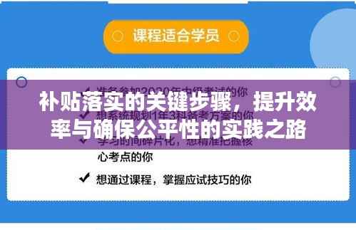 补贴落实的关键步骤,提升效率与确保公平性的实践之路