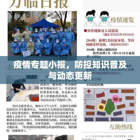 疫情专题小报,防控知识普及与动态更新