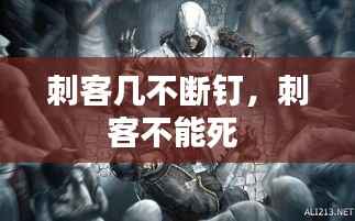 刺客几不断钉,刺客不能死