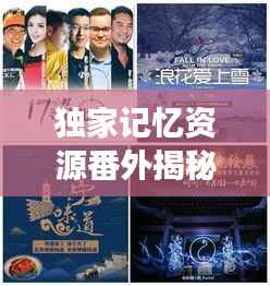 独家记忆资源番外揭秘,珍贵内容的独特探索之旅