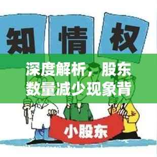 深度解析,股东数量减少现象背后的原因与影响