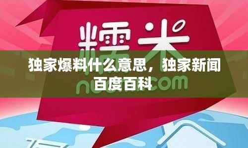独家爆料什么意思,独家新闻百度百科