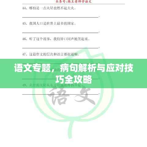 语文专题,病句解析与应对技巧全攻略