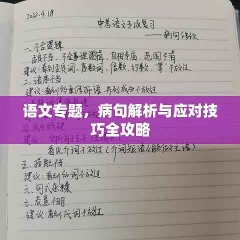 语文专题,病句解析与应对技巧全攻略
