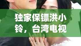 独家保镖洪小铃,台湾电视剧独家保镖