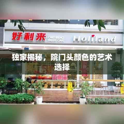 独家揭秘,院门头颜色的艺术选择
