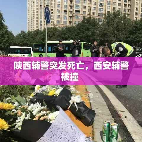 陕西辅警突发死亡,西安辅警被撞