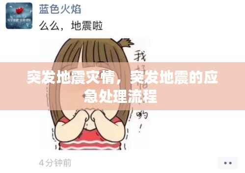 突发地震灾情,突发地震的应急处理流程