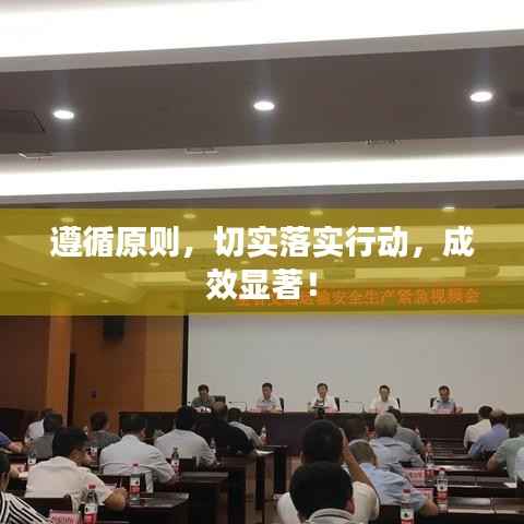 遵循原则,切实落实行动,成效显著!