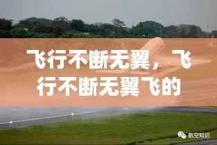 飞行不断无翼,飞行不断无翼飞的原因