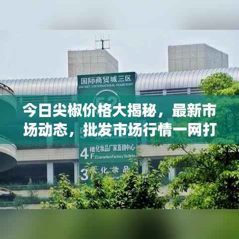 今日尖椒价格大揭秘,最新市场动态,批发市场行情一网打尽