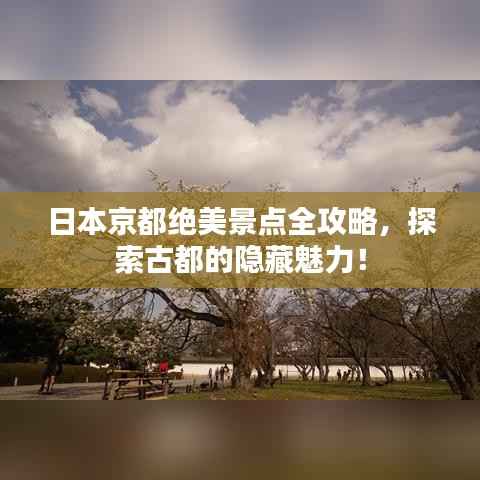 日本京都绝美景点全攻略,探索古都的隐藏魅力!