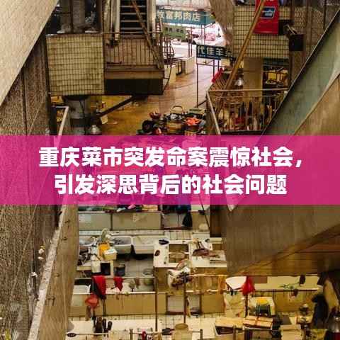 重庆菜市突发命案震惊社会,引发深思背后的社会问题