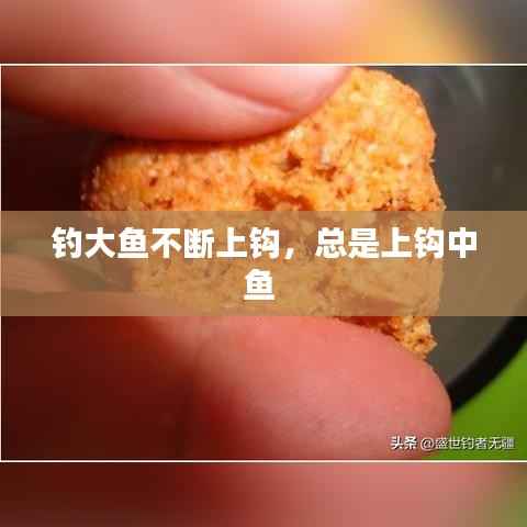 钓大鱼不断上钩,总是上钩中鱼