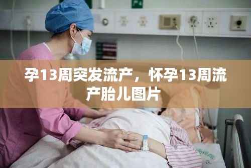 孕13周突发流产,怀孕13周流产胎儿图片