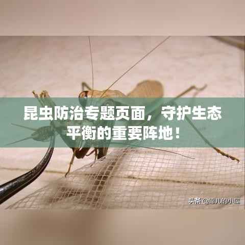 昆虫防治专题页面,守护生态平衡的重要阵地!