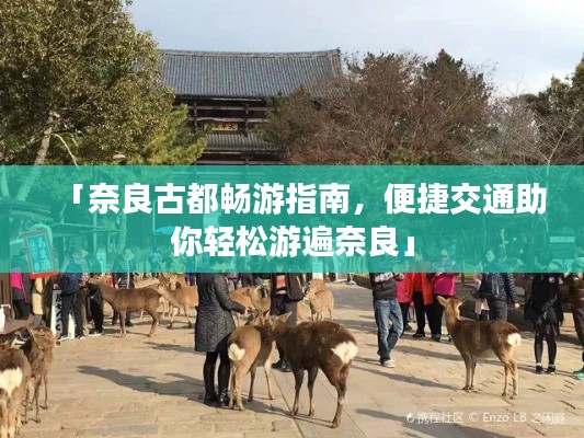 「奈良古都畅游指南,便捷交通助你轻松游遍奈良」