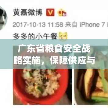 广东省粮食安全战略实施,保障供应与质量安全双管齐下