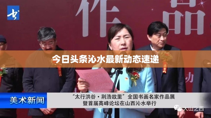 今日头条沁水最新动态速递