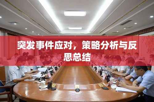 突发事件应对,策略分析与反思总结