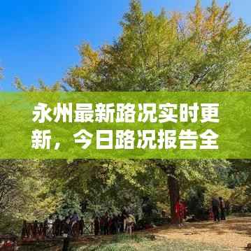 永州最新路况实时更新,今日路况报告全解析