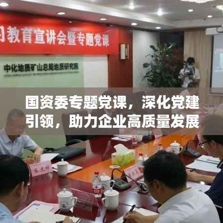 国资委专题党课,深化党建引领,助力企业高质量发展之路