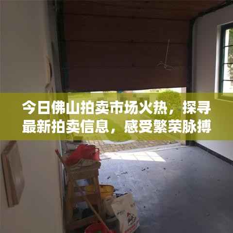 今日佛山拍卖市场火热,探寻最新拍卖信息,感受繁荣脉搏