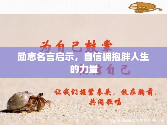 联系我们 第155页