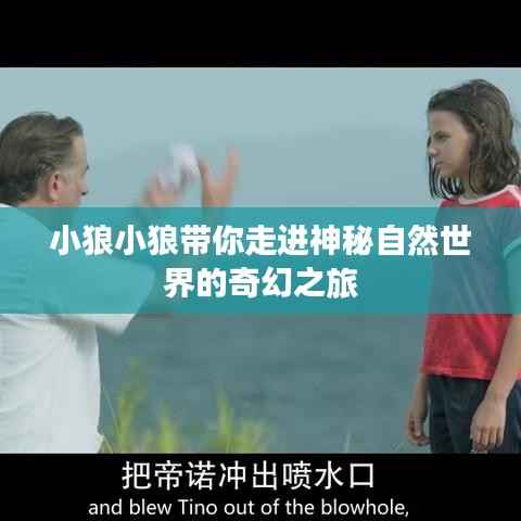 小狼小狼带你走进神秘自然世界的奇幻之旅