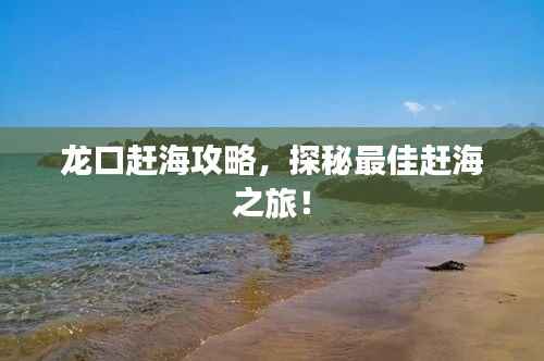 龙口赶海攻略,探秘最佳赶海之旅!