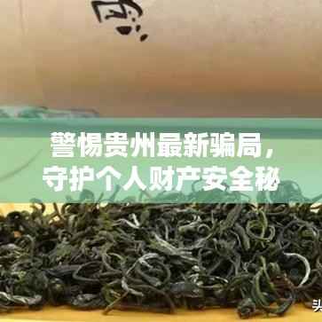 警惕贵州最新骗局,守护个人财产安全秘籍揭秘